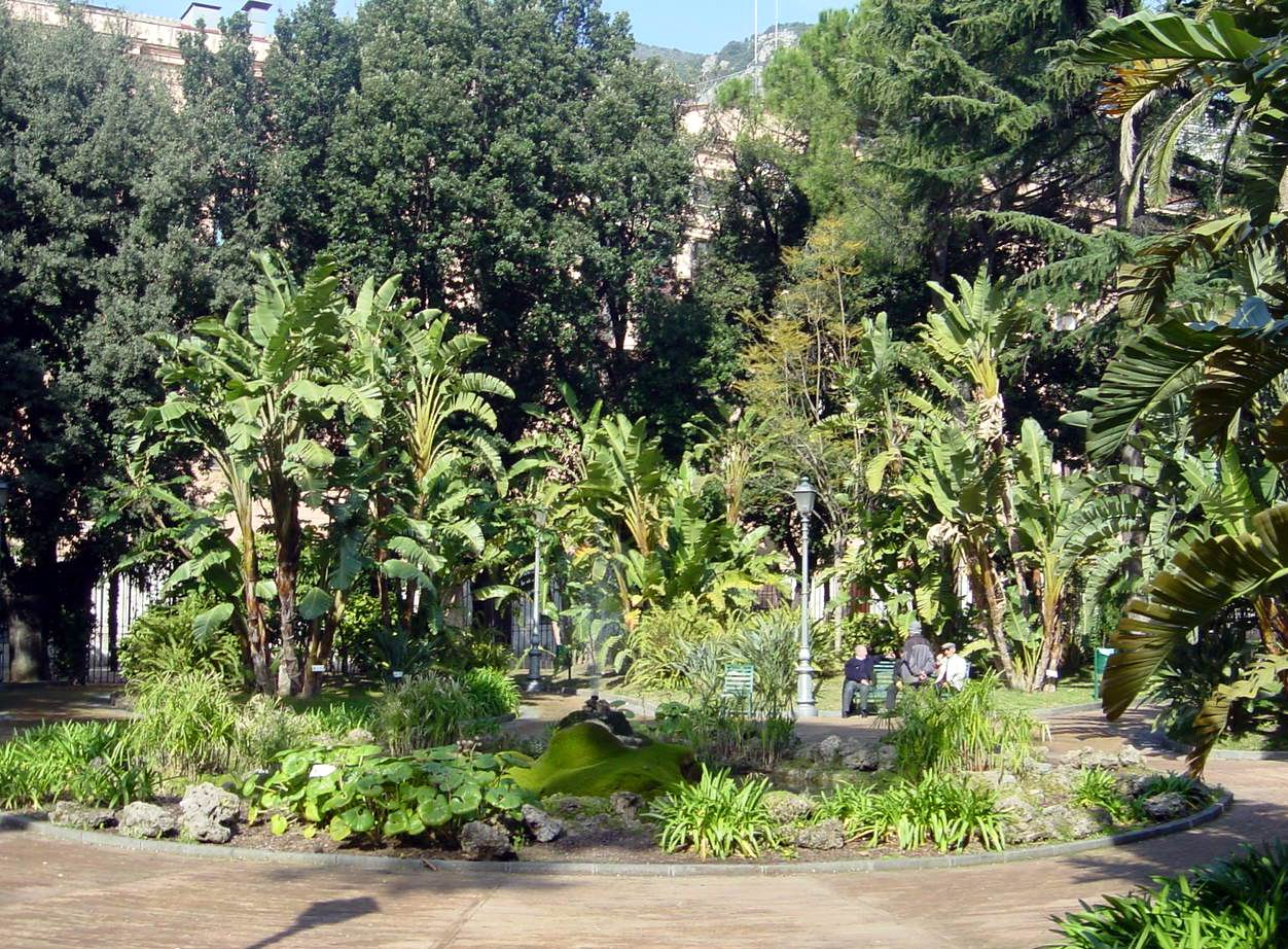 Esemplari della collezione botanica della Villa