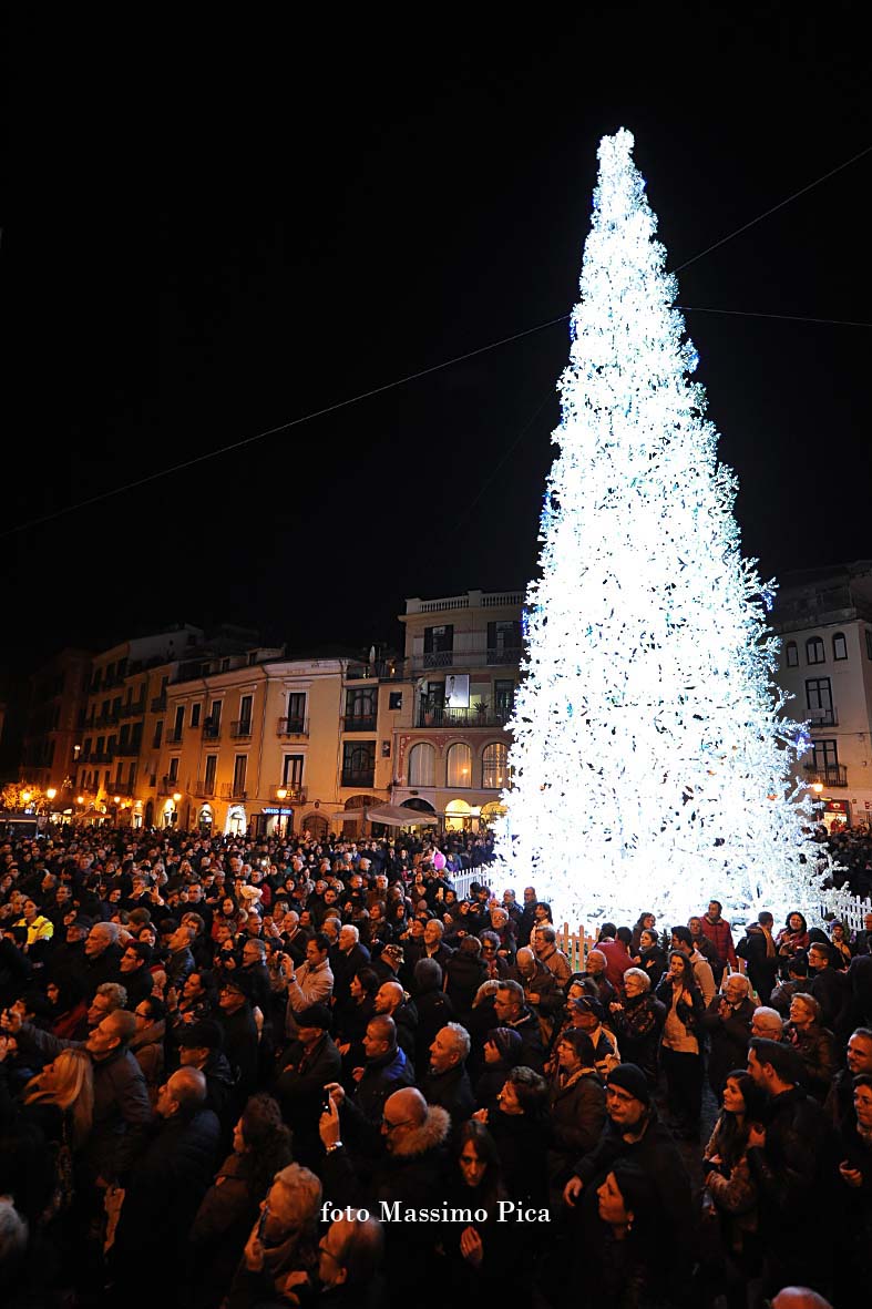 Si accendono le opere natalizie di Luci d'Artista: Albero di Natale, Foresta di Ghiaccio e Slitta