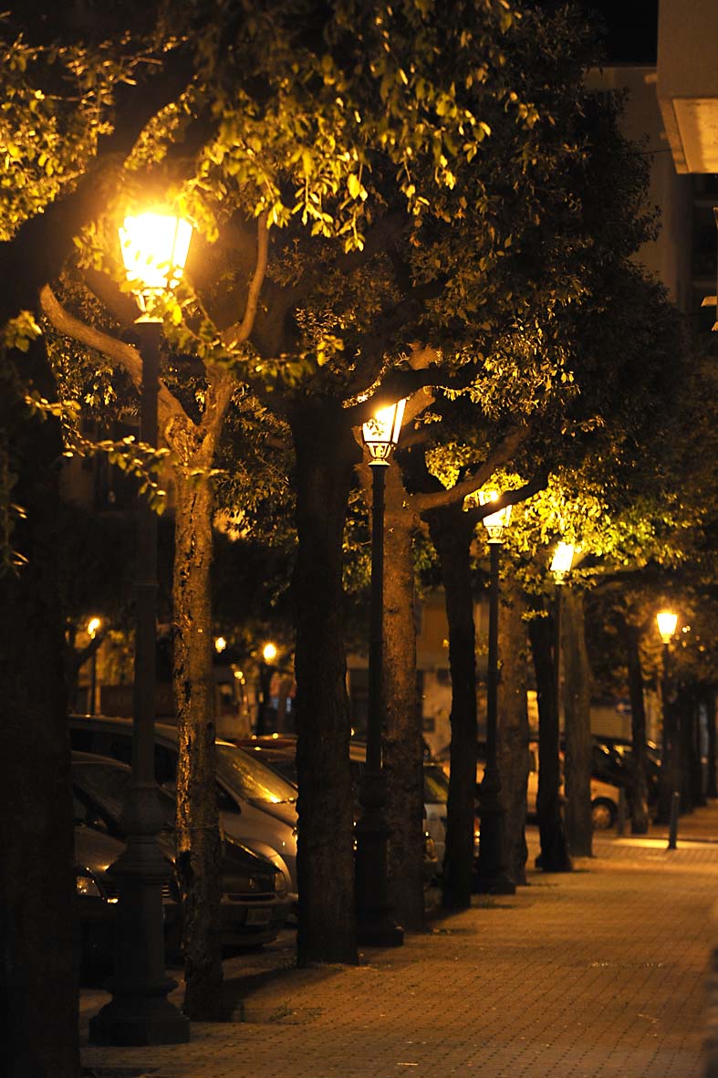 Inaugurazione impianto di pubblica illuminazione a Torrione. Salerno, 18 settembre 2010